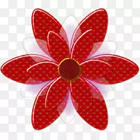 �嵰����˺Ӳ���-���-������