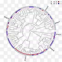 ֱ�ߵ����-������