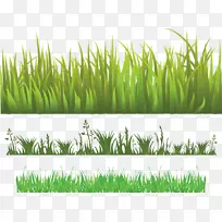 ²Ý±¾²Ýµé²Ýƺ¾í²Ý-¿ÕÈôÍø ²Ý±¾²Ýµé²Ýƺ¾í²Ý-¿ÕÈôÍø