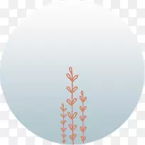 ����-������