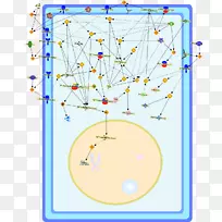 线点艺术有机体线-空若网 线点艺术有机体线-空若网