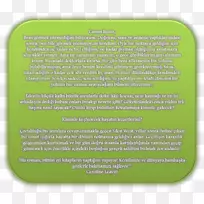 ��ɫ����-������