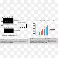 电子电子元件组织.设计-空若网 电子电子元件组织.设计-空若网