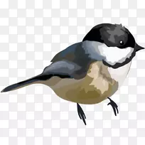 鸟嘴水彩画剪贴画.鸟-空若网 鸟嘴水彩画剪贴画.鸟-空若网