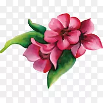 �ۺ�ɫ��-������