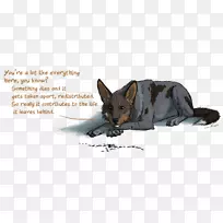 狗牌鼻子卡通野生动物狗-空若网 狗牌鼻子卡通野生动物狗-空若网