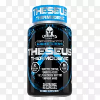 ����˹�˶�ǰ������ֳѧ����˹-����˹-������