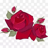 õ���ɫ��Ӱ���ƺ�õ��-������