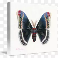 ����ͼ-������