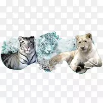 虎猫野生动物陆生动物不同种族-空若网 虎猫野生动物陆生动物不同种族-空若网