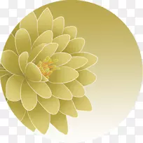 大丽花设计花瓣花卉设计-空若网 大丽花设计花瓣花卉设计-空若网