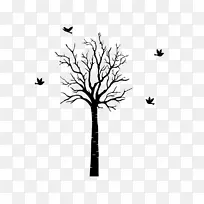 С֦����ֲ�ﾥҶ-Ҷ-������