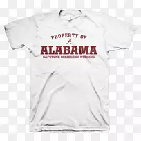 ӡ��t����Ͳ9Ӣ��ָ��.t��-������