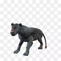 野生动物鼻子陆生动物黑豹-金堆-空若网 野生动物鼻子陆生动物黑豹-金堆-空若网