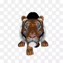 虎大猫鼻虎-空若网 虎大猫鼻虎-空若网