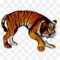 ��è½�����������-�ϻ�-������