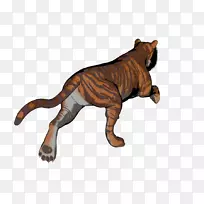 虎狮猫陆生动物-老虎-空若网 虎狮猫陆生动物-老虎-空若网