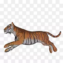 ��è½������Ұ������-�ϻ�-������