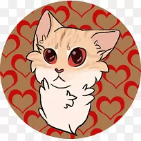 胡须小猫鼻子夹艺术小猫-空若网 胡须小猫鼻子夹艺术小猫-空若网