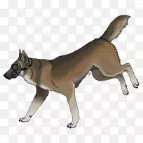 ����С������-С��-������