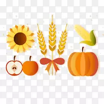 葡萄-秋收果实-空若网 葡萄-秋收果实-空若网