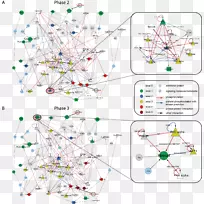 线点图案-线-空若网 线点图案-线-空若网