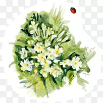 ��������л������˹�����-������