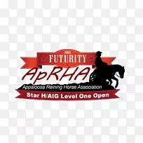 ��־����-aig��־-������