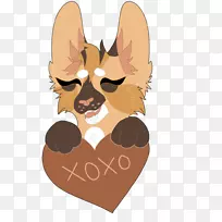 胡须狗猫鼻子狗-空若网 胡须狗猫鼻子狗-空若网