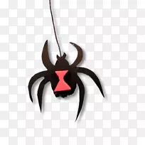 昆虫-空若网 昆虫-空若网