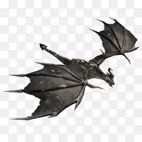 Ҷ��-Ҷ-������