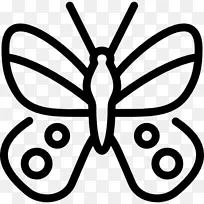 毛茸茸的蝴蝶昆虫阿波罗蝴蝶-空若网 毛茸茸的蝴蝶昆虫阿波罗蝴蝶-空若网