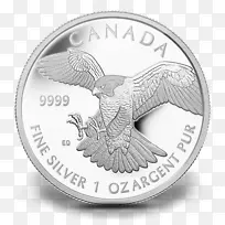 银币游隼银币-空若网 银币游隼银币-空若网