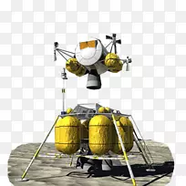 昆虫-空若网 昆虫-空若网