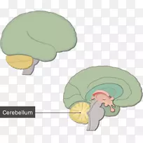 �Ը���ϵͳ-�Թ���-������