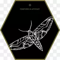 ��������-����-������