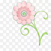 花卉设计切花花瓣花-空若网 花卉设计切花花瓣花-空若网