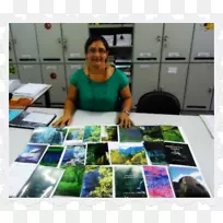 ���ϲ��������-������