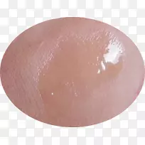 Ƥ�ݶ�-������