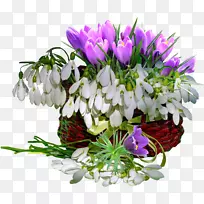 花桌面壁纸-花-空若网 花桌面壁纸-花-空若网