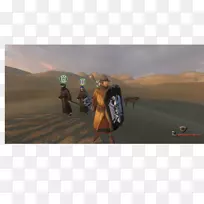 运输方式生态区摄影.安装和叶片模因-空若网 运输方式生态区摄影.安装和叶片模因-空若网