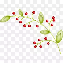 开花植物叶树画框.植物-空若网 开花植物叶树画框.植物-空若网