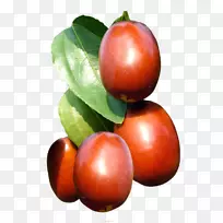 印度枣树红枣-鲜枣幼童质地良好-空若网 印度枣树红枣-鲜枣幼童质地良好-空若网