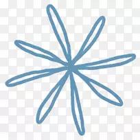 直线花-空若网 直线花-空若网