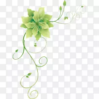 �̻�-�̻�-������