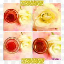 ������׷�ζ-Ƥ��-������