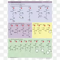 蛋白质性氨基酸侧链胺-氨基-空若网 蛋白质性氨基酸侧链胺-氨基-空若网