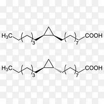 异亮氨酸支链氨基酸乳酸菌酸化合物立体-空若网 异亮氨酸支链氨基酸乳酸菌酸化合物立体-空若网