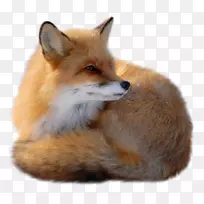 剪贴画设计-空若网 剪贴画设计-空若网