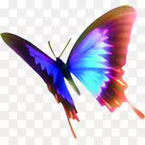 蝴蝶昆虫翅蛾-彩色蝴蝶-空若网 蝴蝶昆虫翅蛾-彩色蝴蝶-空若网